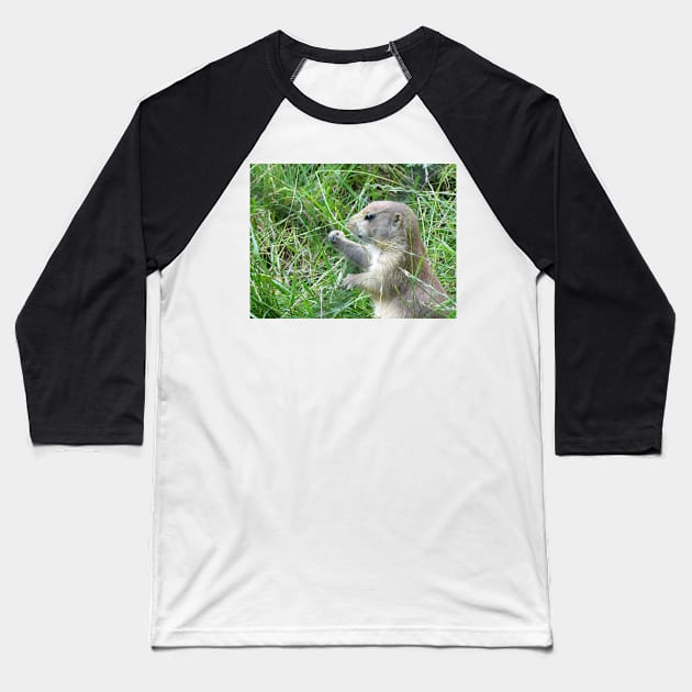 Cute Little Prairie Dog Baseball T-Shirt by OneLook